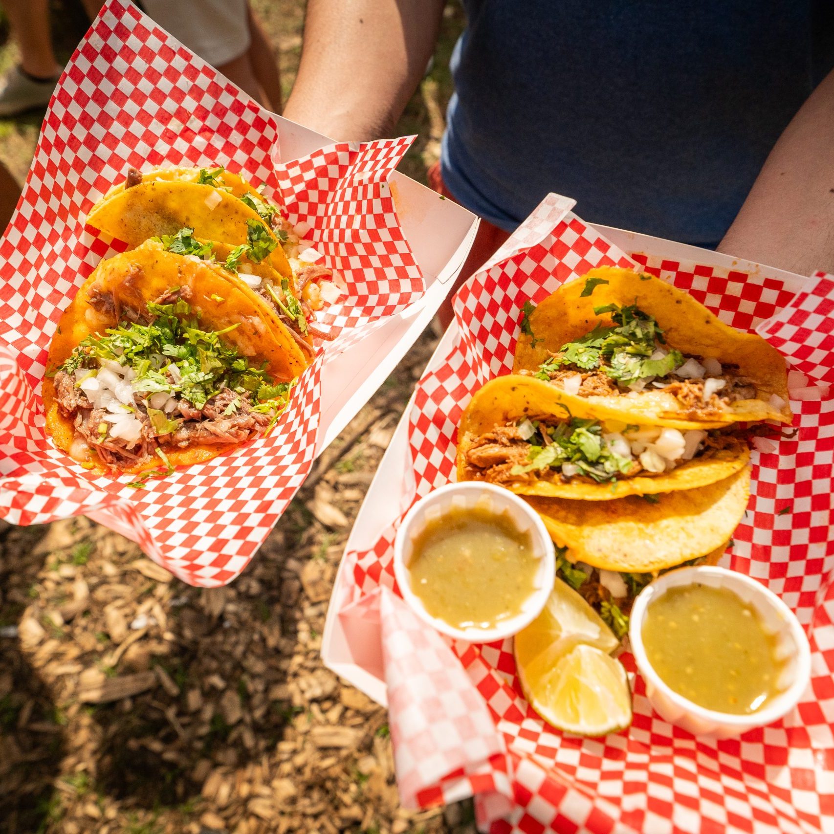 Two plates of authentic tacos served at Latin Food Experience in the Netherlands.